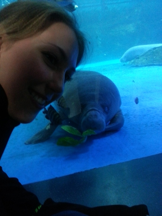 They even had manatees!